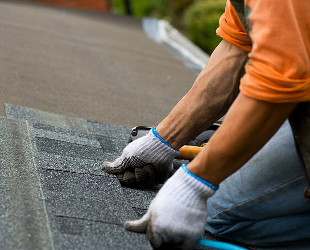 Best Flat Roof Repair Services  in Miami Shores, FL