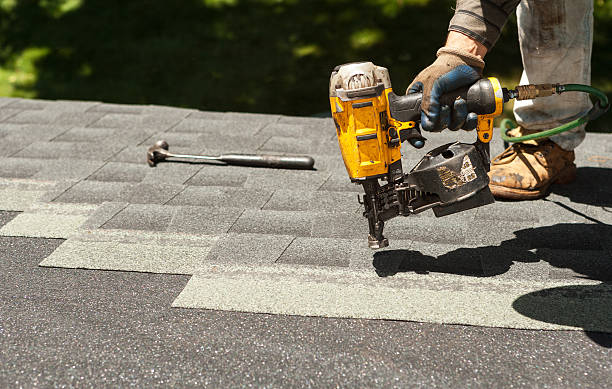 Best Roof Gutter Cleaning  in Miami Shores, FL