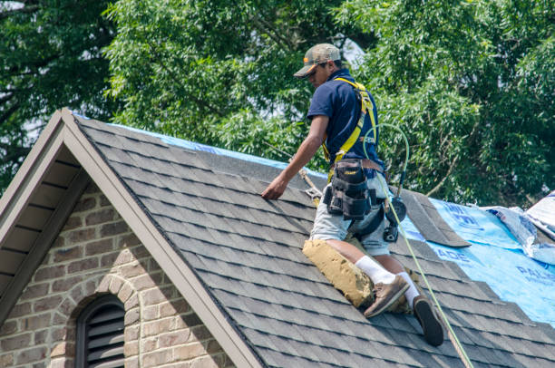 Quick and Trustworthy Emergency Roof Repair Services in Miami Shores, FL